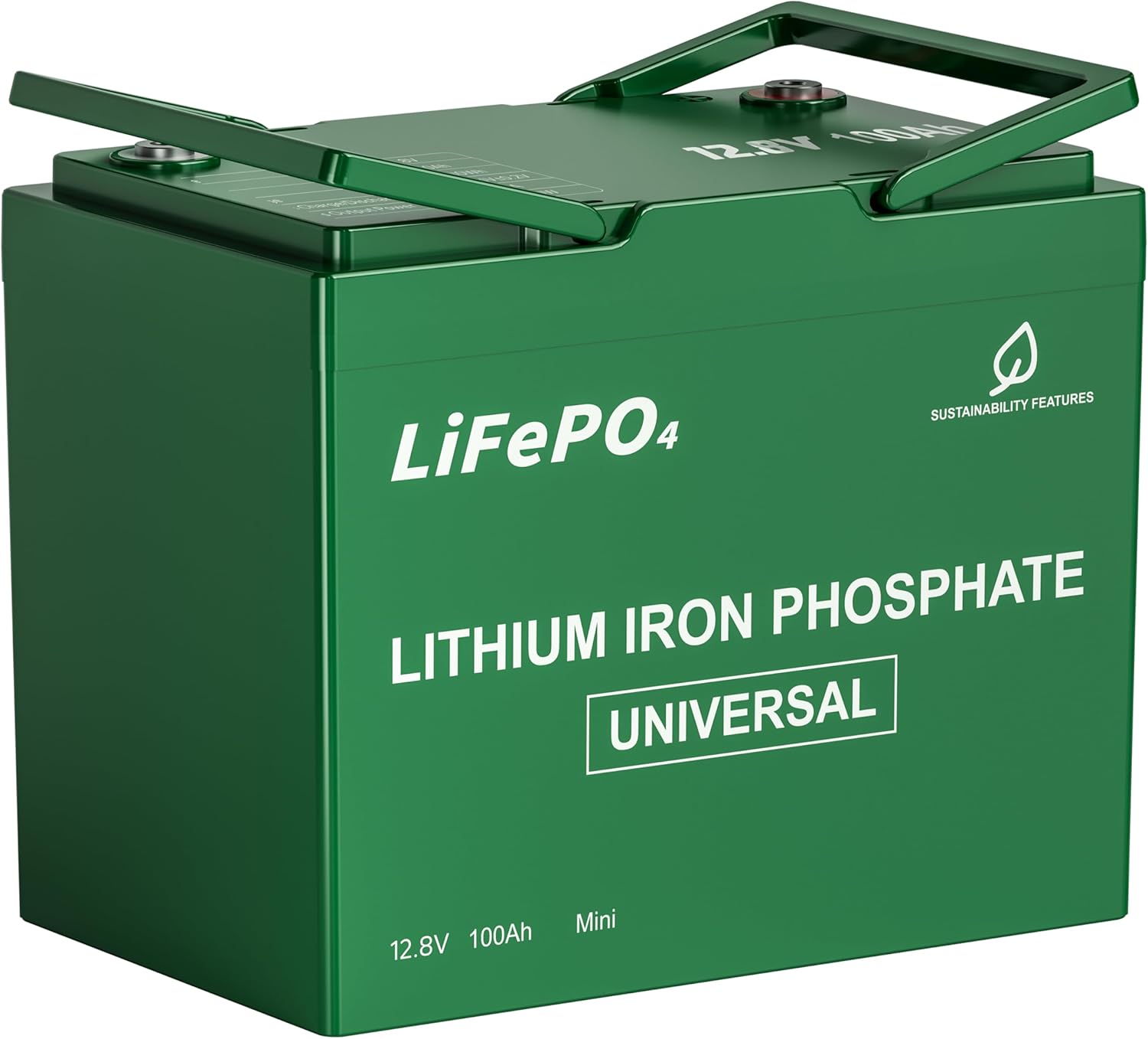 12.8V 100Ah LiFePO4 lithium battery with smart BMS and low-temp protection for RV and marine use.