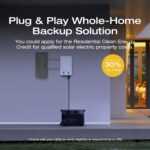 EcoFlow Delta Pro standalone power station.